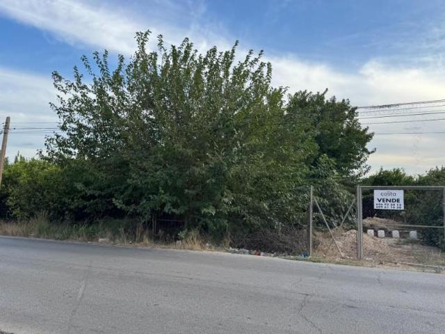 Terreno en venta en Orihuela, Molins Campaneta San Bartolomé