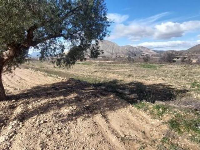 Terreno en venta en Hondon de los Frailes, Comunidad valenciana