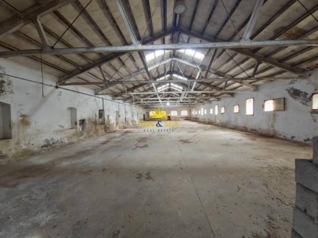 Terreno en venta en Orihuela, Orihuela