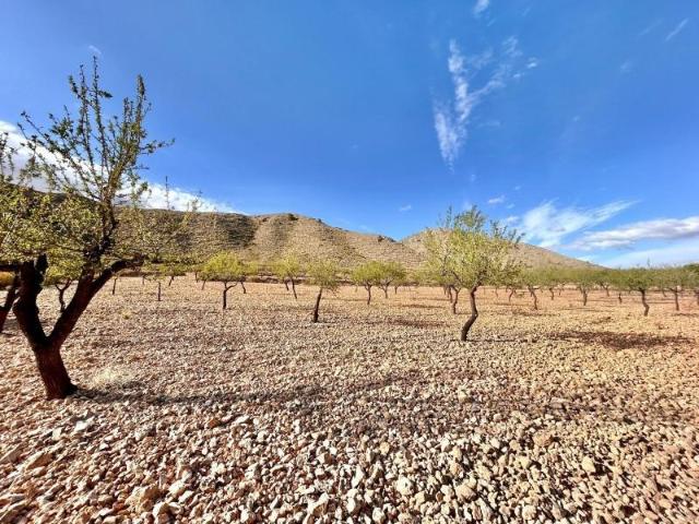 Terreno en venta en Orihuela, Barbarroja