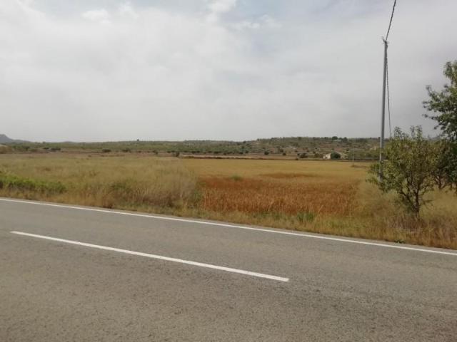 Terreno en venta en Orihuela, Barbarroja