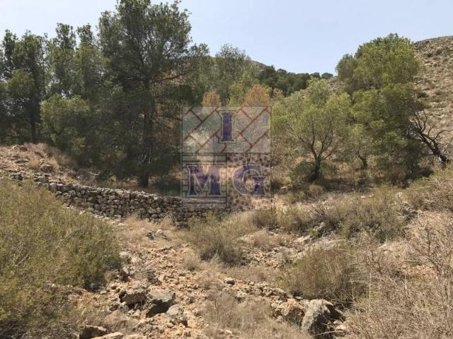 Terreno en Venta en Orihuela