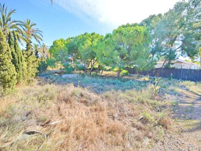 Terreno en Venta en Orihuela