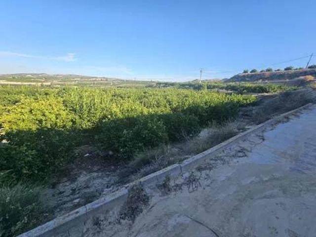 Terreno en Venta en Orihuela