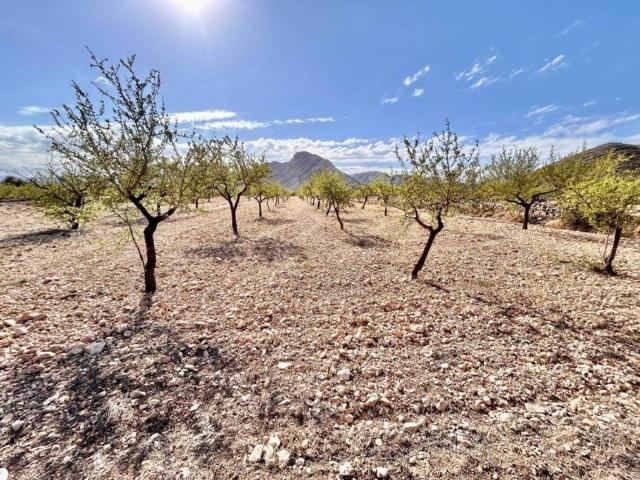 Terreno en Venta en Orihuela