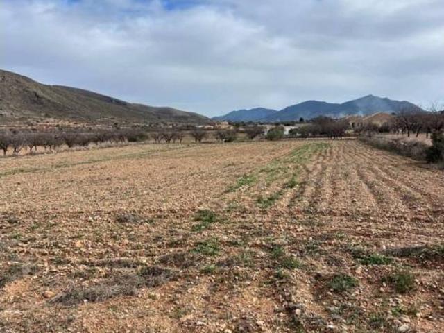 Terreno en Venta en Orihuela