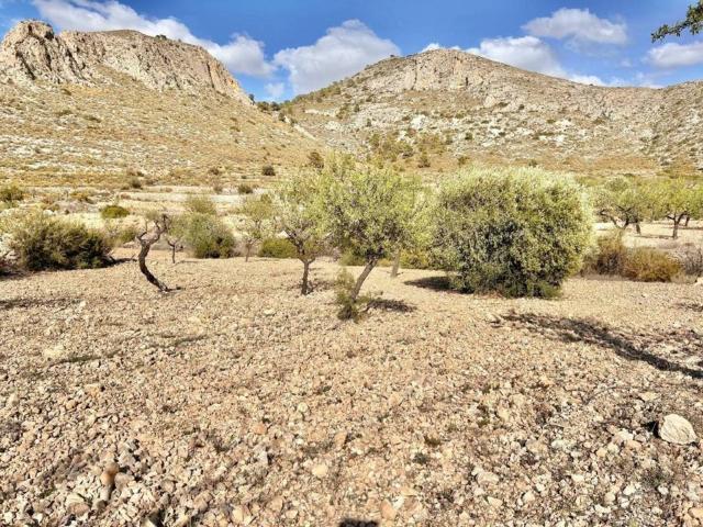 Terreno en Venta en Orihuela