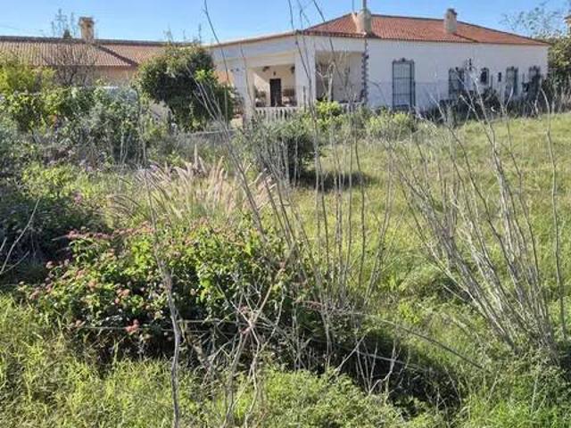 Terreno en Venta en Orihuela