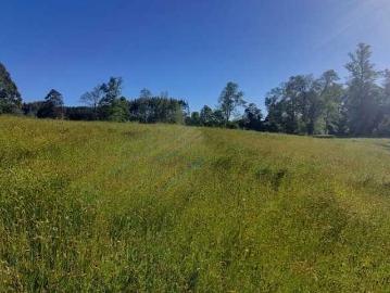 Terreno en Venta en Osorno