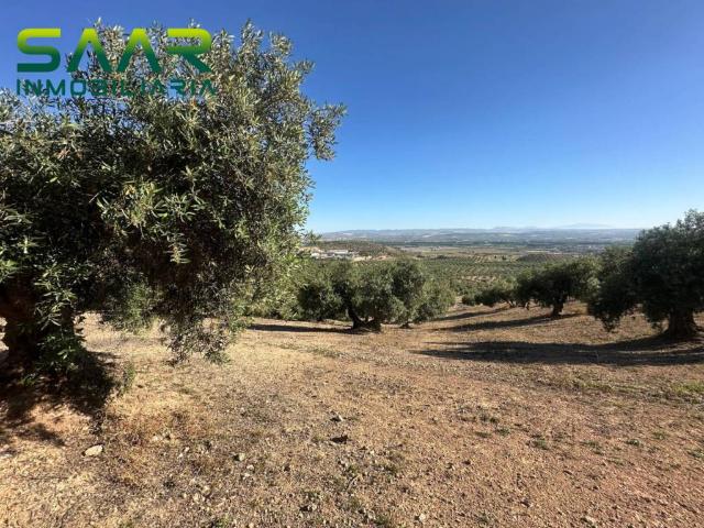 Terreno en Venta en Atarfe