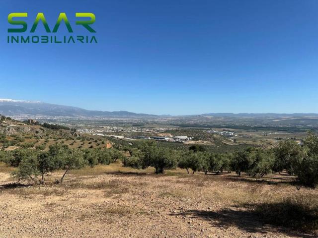 Terreno en Venta en Atarfe