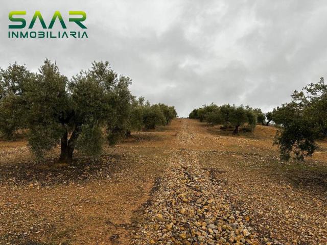 Terreno en Venta en Atarfe