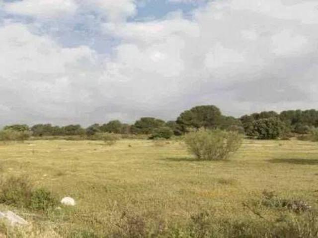 Terreno en Venta en Atarfe