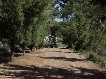 Terreno en venta en, Atemajac de Brizuela, Jalisco