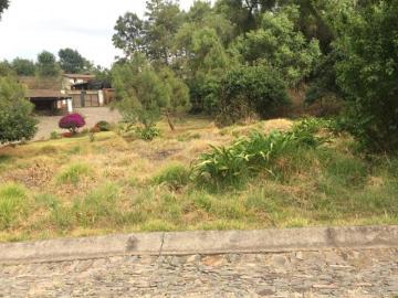 Terreno en Venta en Atemajac de Brizuela, Jalisco