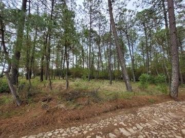 Terreno en venta en atemajac de brizuela