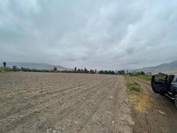 Terreno en Venta en Aucallama, Huaral – Ideal para Proyectos