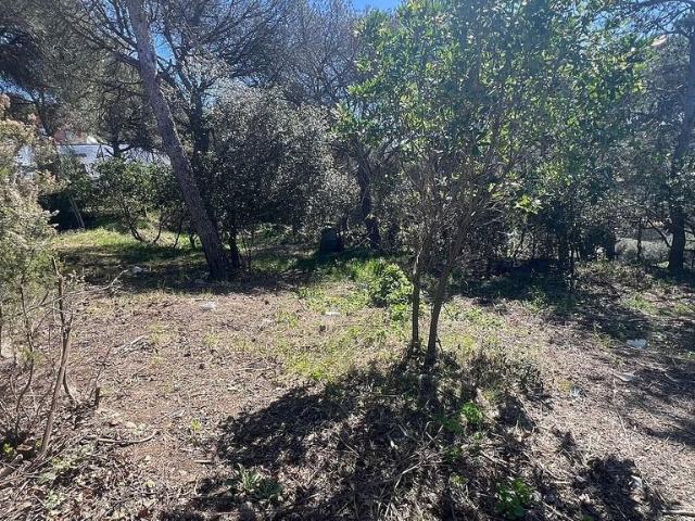 Terreno en venta en avenida De Catalunya, Vilanova del Vallès, de 1.002 m² por 110.000