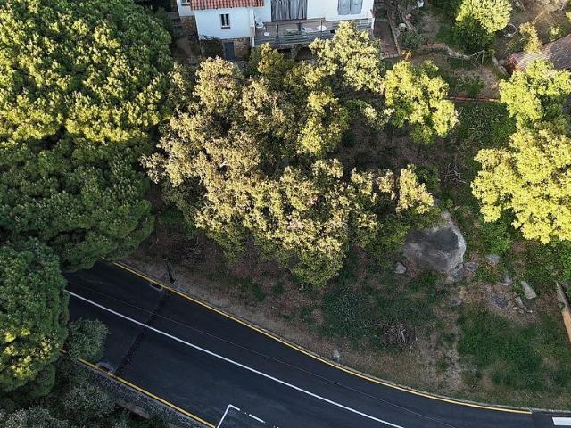 Solar en venta en avenida De Les Mimoses, Santa Cristina d´Aro, de 253 m² por 159.000