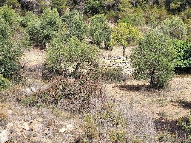 Terreno en venta en avenida De Les Garrigues, Pobla de Cérvoles, la, de 55.000 m² por 45.000