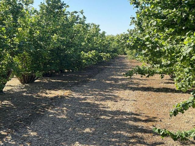 Terreno en venta en avenida De Reus, Constantí, de 21.000 m² por 58.500