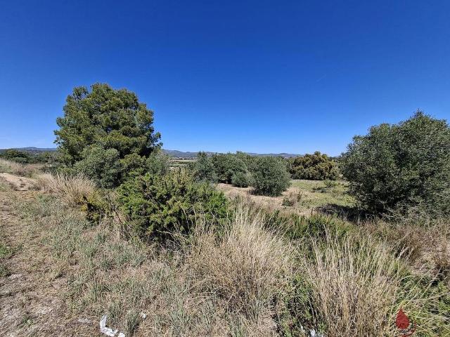 Terreno en venta en avenida De Vendrell, Albinyana, de 9.811 m² por 24.000