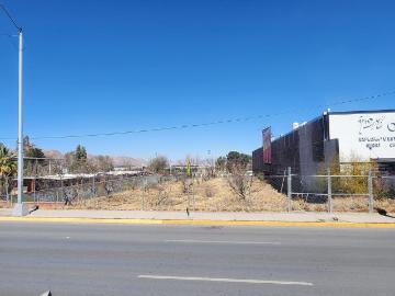 TERRENO EN VENTA EN AVENIDA FUENTES MARES