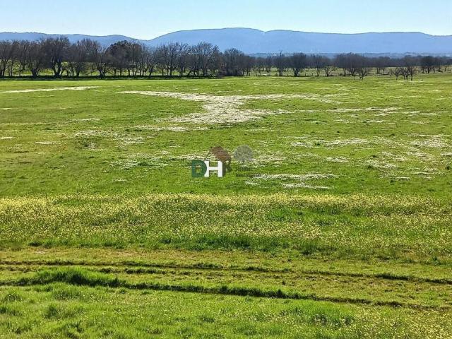 Terreno en Venta en Ávila