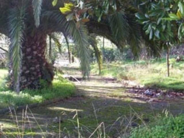 Terreno en Venta en Avilés