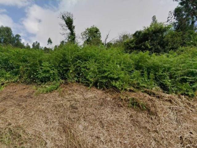 Terreno en Venta en Avilés
