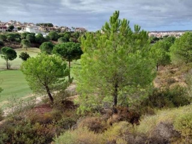Terreno en Venta en Ayamonte