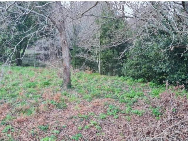 Terreno en Venta en A Guarda