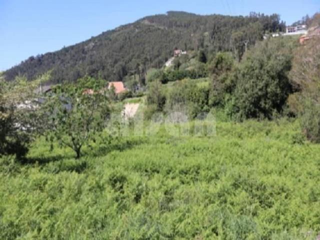 Terreno en Venta en A Guarda