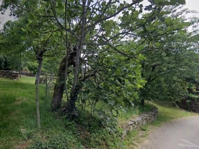 Terreno en Venta en A Pobra do Brollón
