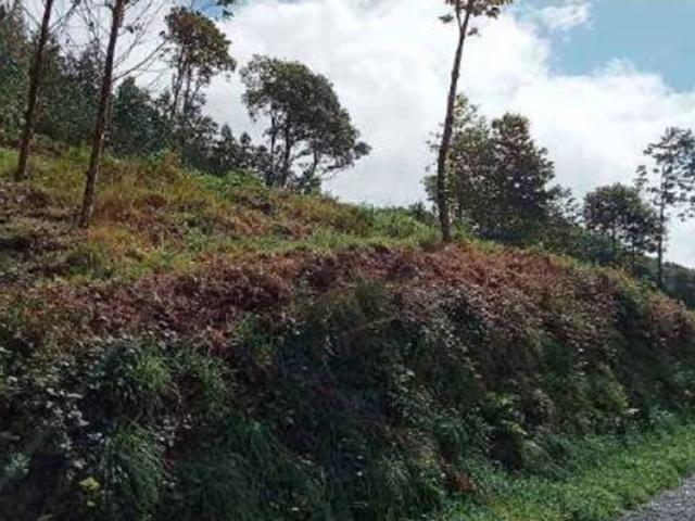 Terreno en Venta en A Pastoriza