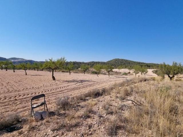 Terreno en venta en Abanilla, ABANILLA