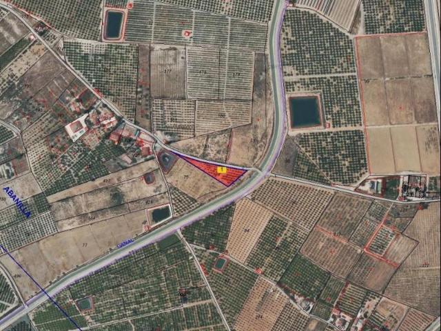 Terreno en venta en Abanilla, Abanilla