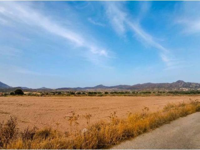Terreno en Venta en Abanilla