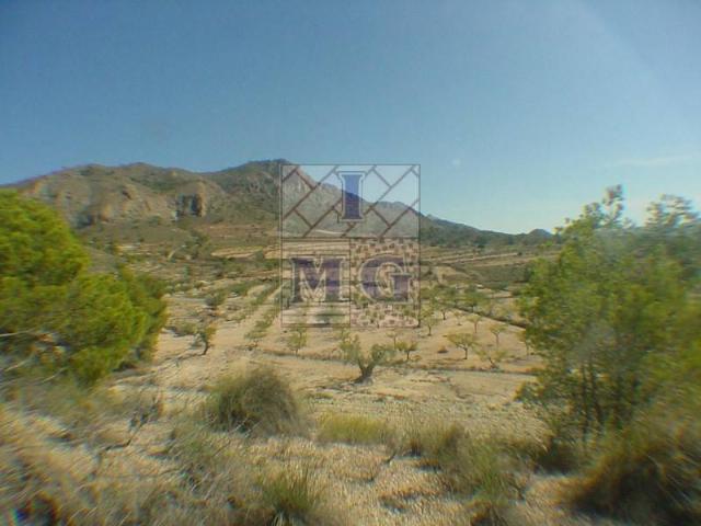 Terreno en Venta en Abanilla