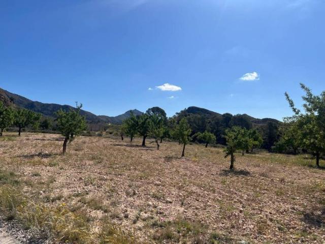 Terreno en Venta en Abanilla