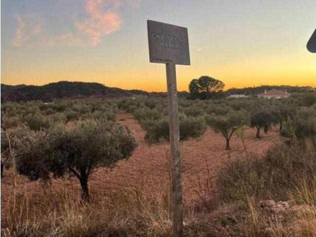 Terreno en Venta en Abanilla