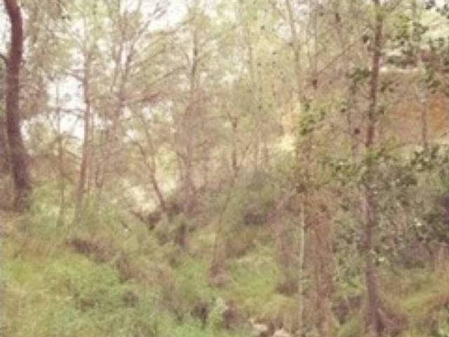 Terreno en Venta en Abanilla