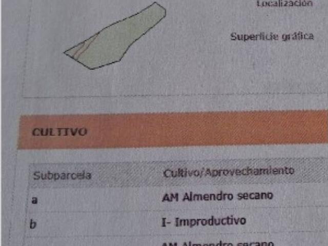Terreno en Venta en Abanilla