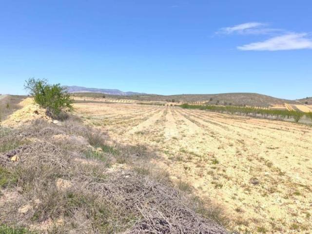 Terreno en Venta en Abanilla
