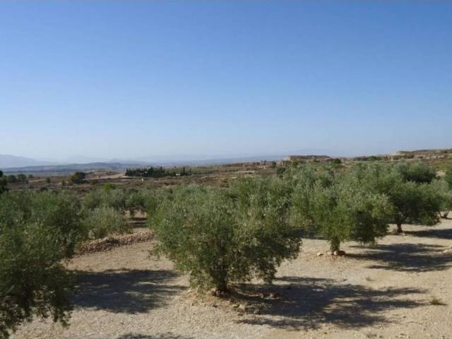 Terreno en Venta en Abanilla
