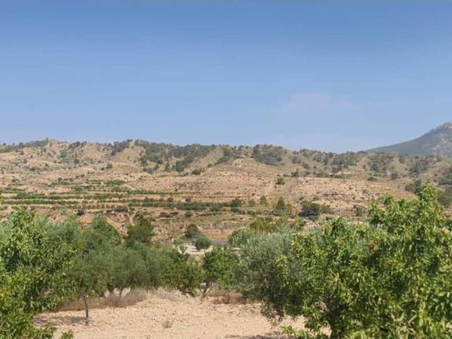 Terreno en Venta en Abanilla