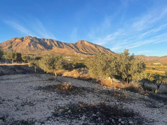 Terreno en Venta en Abanilla
