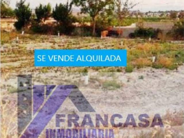 Terreno en Venta en Abanilla