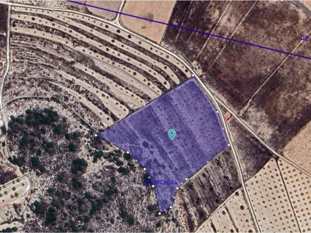 Terreno en Venta en Abanilla