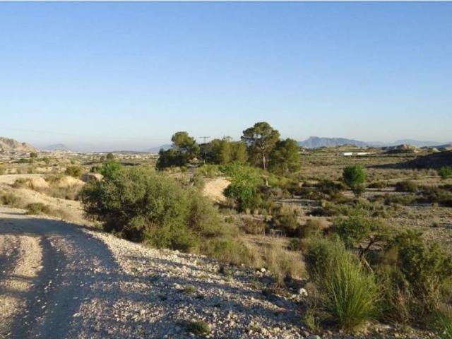 Terreno en Venta en Abanilla